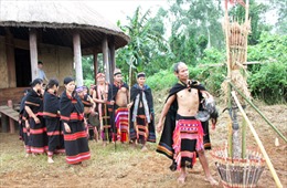 Già làng đam mê nhạc cụ truyền thống